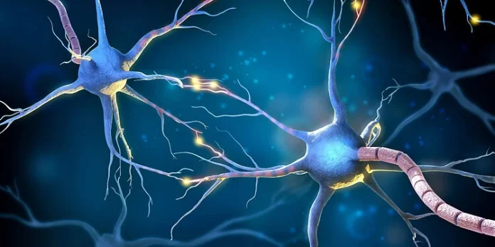 کشف شگفت‌انگیز دانشمندان: راز 